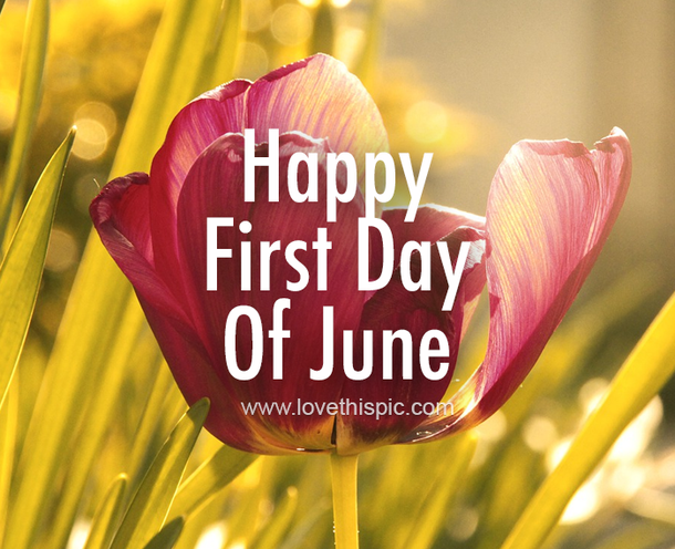 10 Best Happy First Day Of June Quotes And Sayings - picture 3