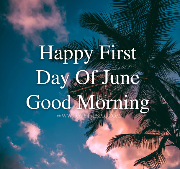 10 Best Happy First Day Of June Quotes And Sayings - picture 5