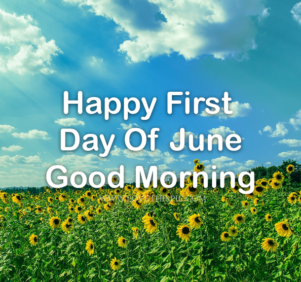10 Best Happy First Day Of June Quotes And Sayings - picture 8