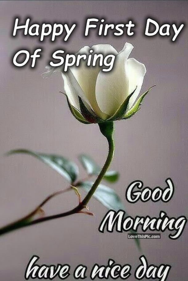10 Best Happy First Day Of Spring Quotes To Start The New Season - picture 10