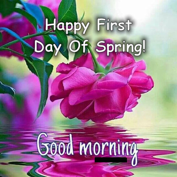 10 Best Happy First Day Of Spring Quotes To Start The New Season - picture 6