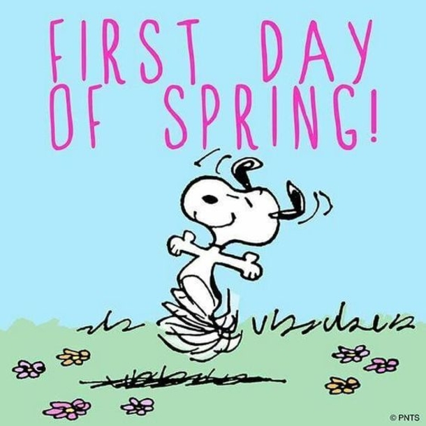 10 Best Happy First Day Of Spring Quotes To Start The New Season - picture 9