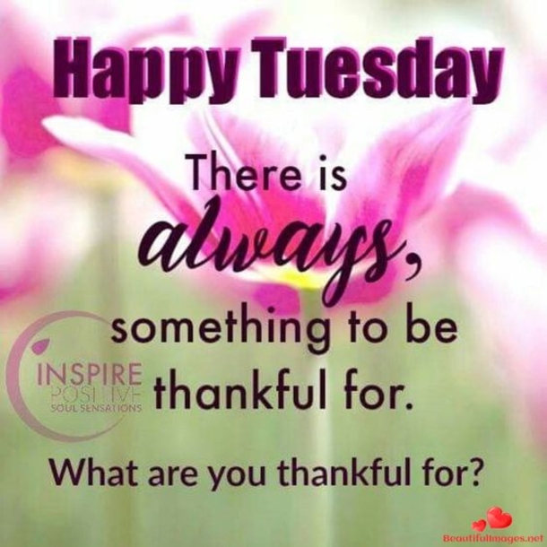 10 Best Happy Tuesday Sayings - picture 10