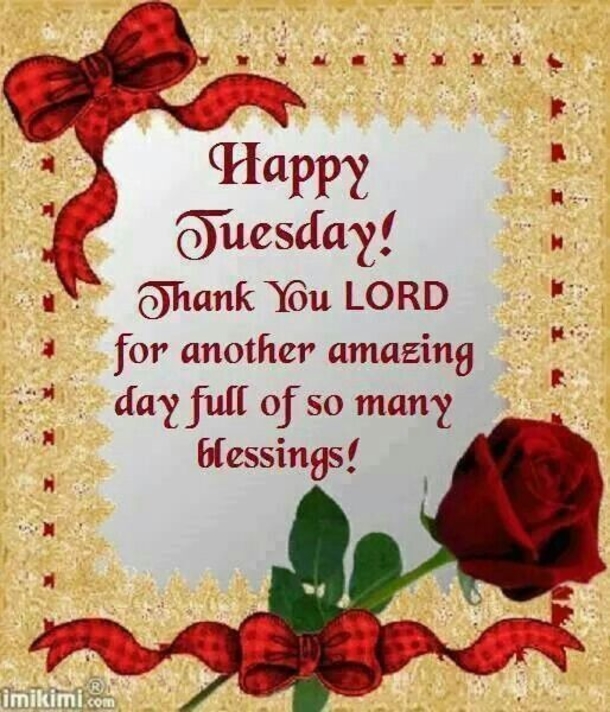 10 Best Happy Tuesday Sayings - picture 6