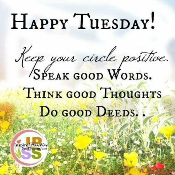 10 Best Happy Tuesday Sayings - picture 9
