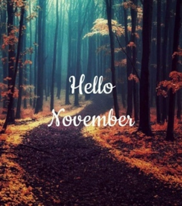 10 Best Hello November Greetings To Blessed The New Month - picture 13