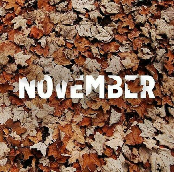 10 Best Hello November Greetings To Blessed The New Month - picture 6