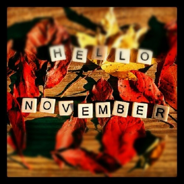 10 Best Hello November Greetings To Blessed The New Month - picture 7