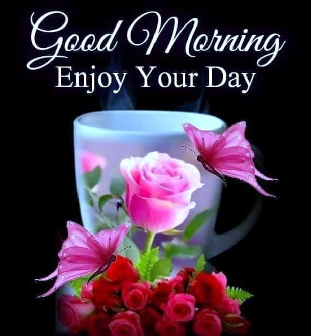 10 Best Inspirational & Beautiful Good Morning Quotes - picture 11