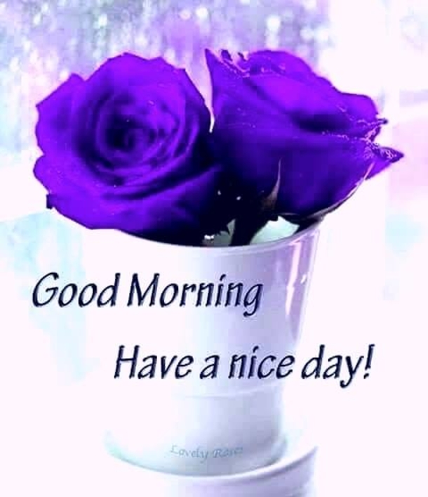 10 Best Inspirational & Beautiful Good Morning Quotes - picture 2
