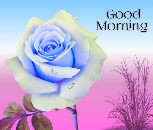 10 Best Inspirational & Beautiful Good Morning Quotes - picture 5