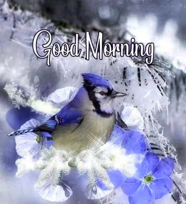10 Best Inspirational & Beautiful Good Morning Quotes - picture 6