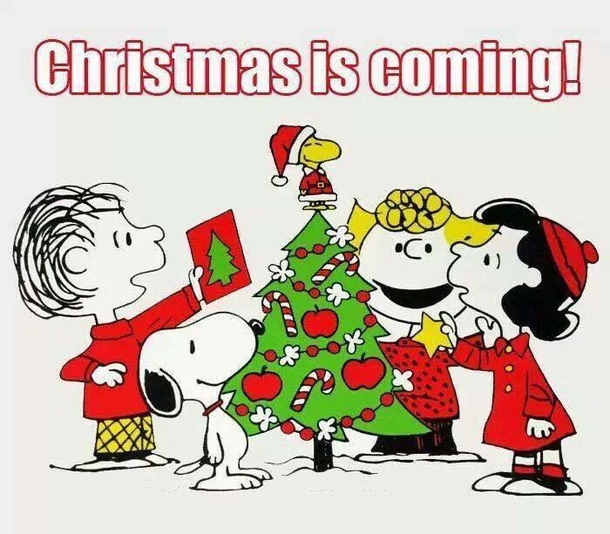 10 Best Inspiring, Fun Christmas Quotes And Sayings - picture 13
