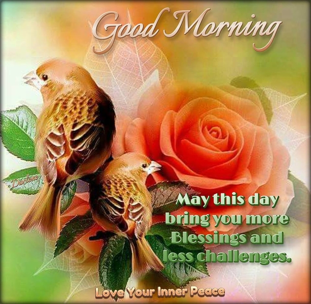 10 Best Inspiring & Beautiful Good Morning Quotes - picture 2