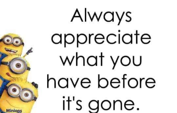 10 Best Minion Quotes About Love & Relationships - picture 2