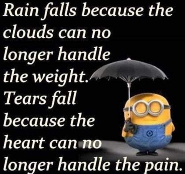 10 Best Minion Quotes About Love & Relationships - picture 3