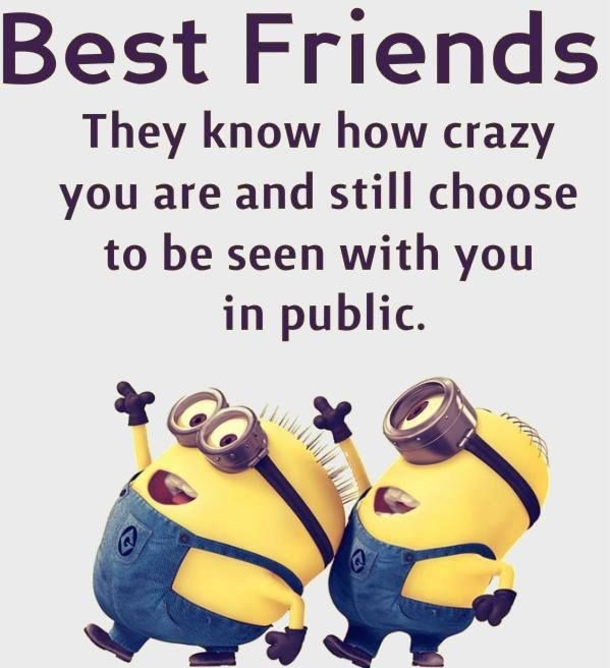 10 Best Minion Quotes For Friends - picture 5
