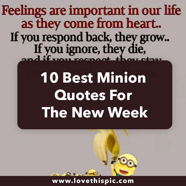 10 Best Minion Quotes For The New Week
