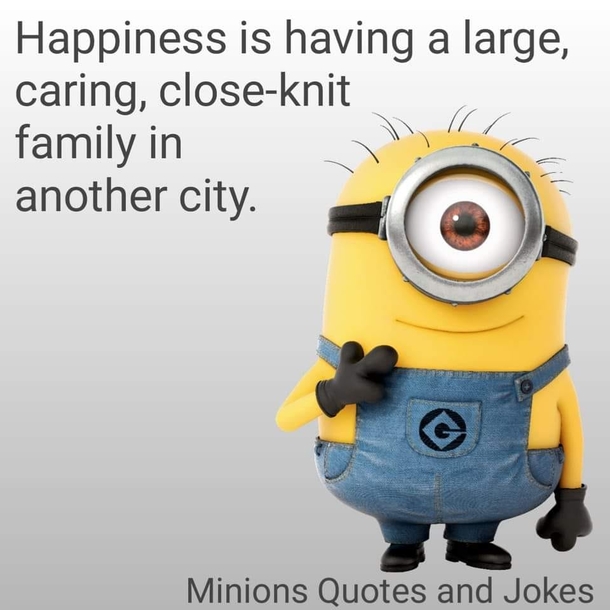 10 Best Minion Quotes For The New Week - picture 11