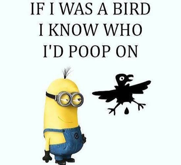 10 Best Minion Quotes For The New Week - picture 5