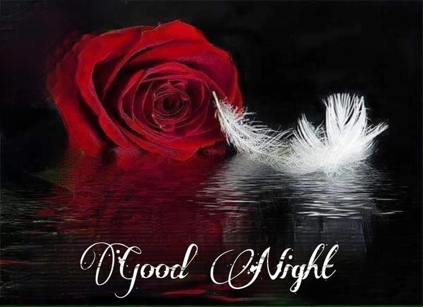 10 Best Prayers And Wishes For A Good Night - picture 8
