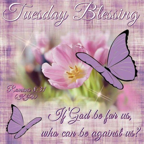 10 Best Quotes For Tuesday Blessings - picture 10
