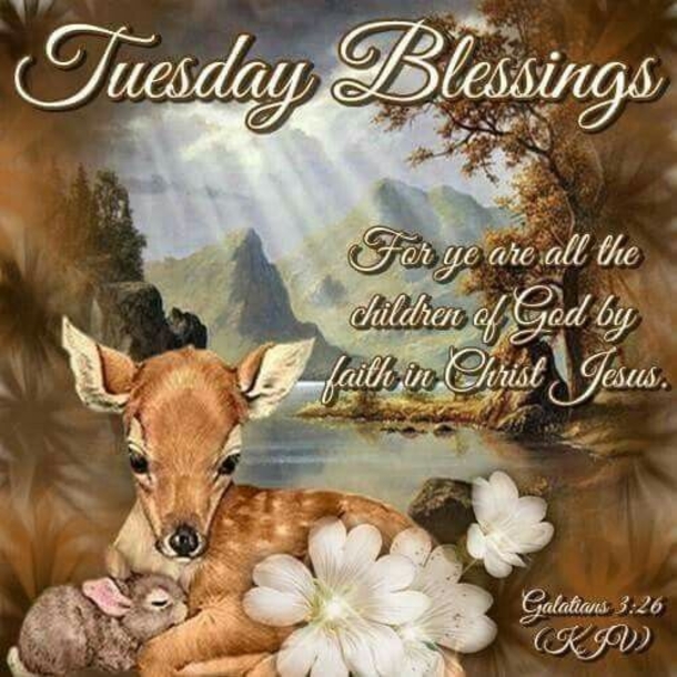 10 Best Quotes For Tuesday Blessings - picture 2