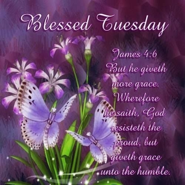 10 Best Quotes For Tuesday Blessings - picture 4