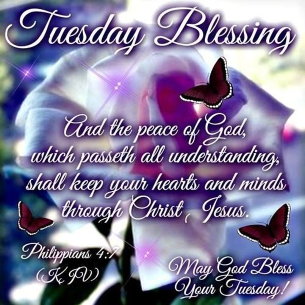 10 Best Quotes For Tuesday Blessings - picture 5