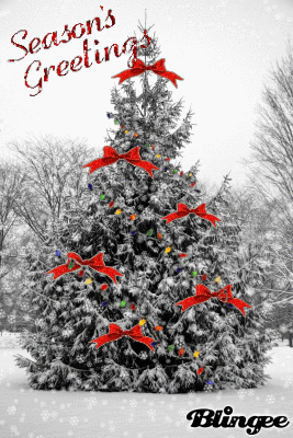 10 Best Seasons Greetings Gifs - picture 11