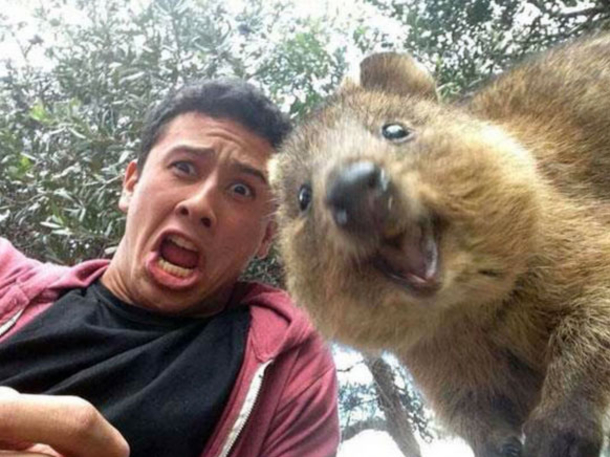 10 Best Selfies On The Internet - picture 2