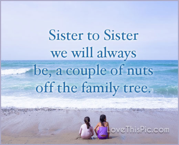 10 Best Sister Quotes To Share With Siblings - picture 3