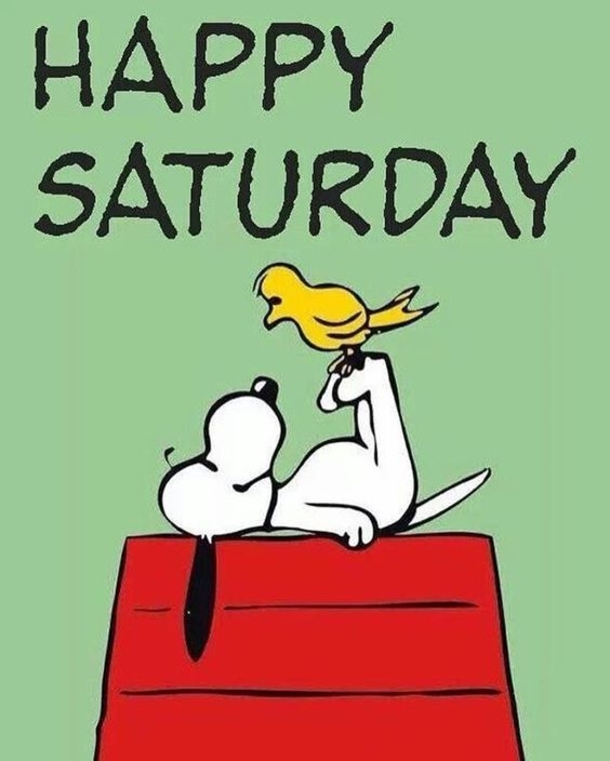 10 Best Snoopy Quotes For Saturday - picture 2