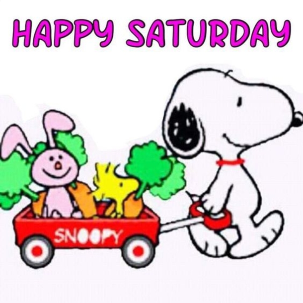 10 Best Snoopy Quotes For Saturday - picture 7