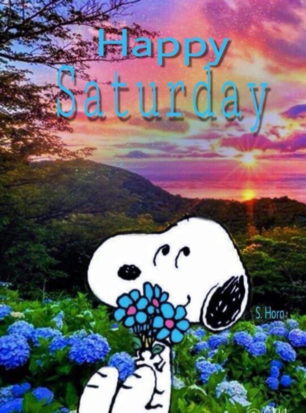 10 Best Snoopy Quotes For Saturday - picture 8