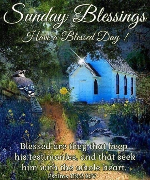 10 Best Sunday Blessings Quotes To Start Your Day - picture 11