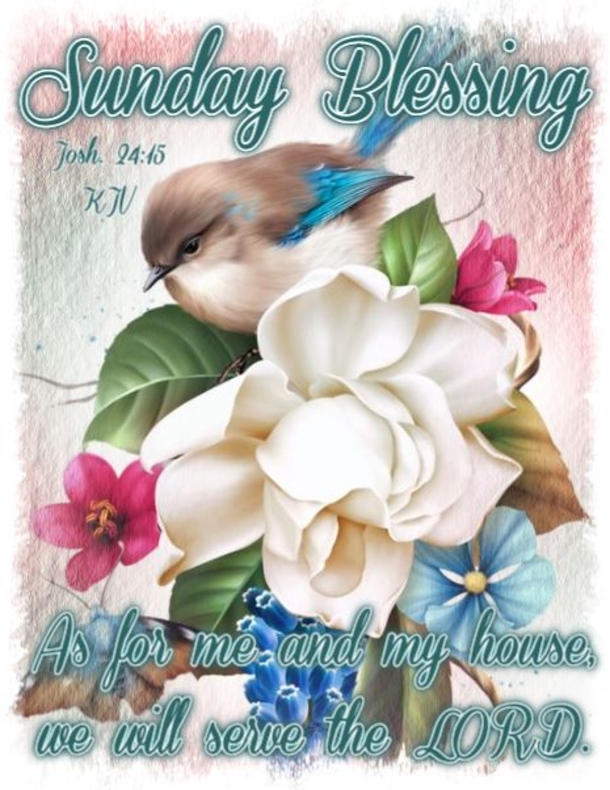 10 Best Sunday Blessings Quotes To Start Your Day - picture 6