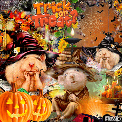 10 Best Trick Or Treat Gif Greetings For 2023 - picture 7