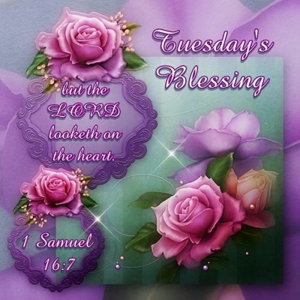 10 Best Tuesday Greetings, Wishes And Quotes - picture 3