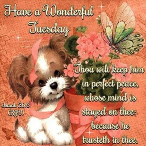 10 Best Tuesday Greetings, Wishes And Quotes - picture 5