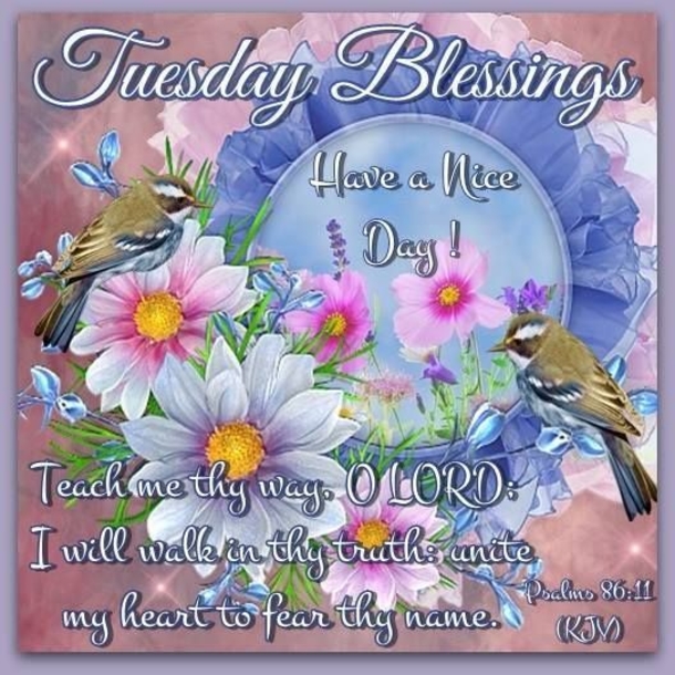 10 Best Tuesday Greetings, Wishes And Quotes - picture 7