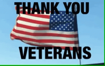 10 Best Veterans Day Gifs To Honor Our Troops - picture 2