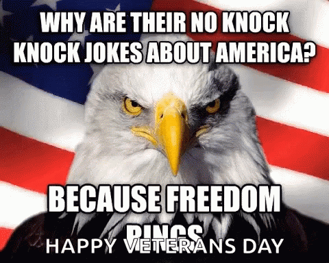 10 Best Veterans Day Gifs To Honor Our Troops - picture 4