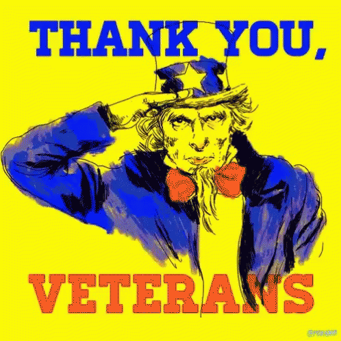 10 Best Veterans Day Gifs To Honor Our Troops - picture 5