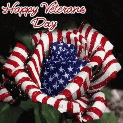 10 Best Veterans Day Gifs To Honor Our Troops - picture 7