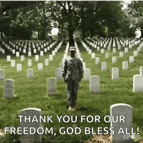 10 Best Veterans Day Gifs To Honor Our Troops - picture 9