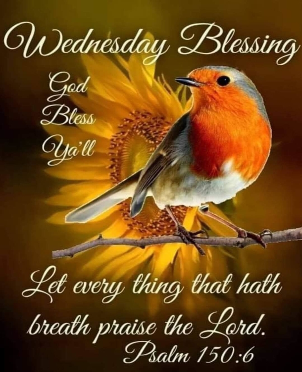 10 Best Wednesday Morning Blessings Images In 2023 - picture 11