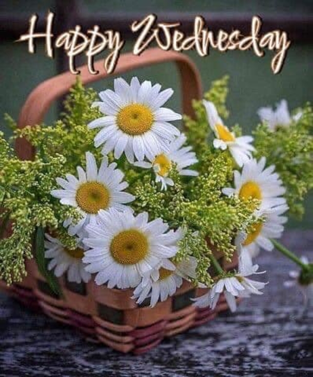 10 Best Wednesday Morning Blessings Images In 2023 - picture 4