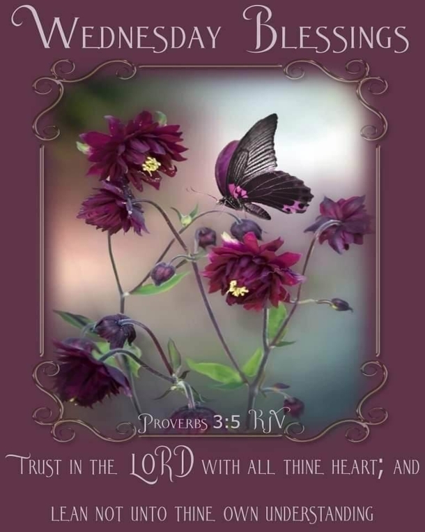 10 Best Wednesday Morning Blessings Images In 2023 - picture 8