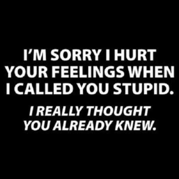 10 Best Witty And Sarcastic Quotes - picture 2